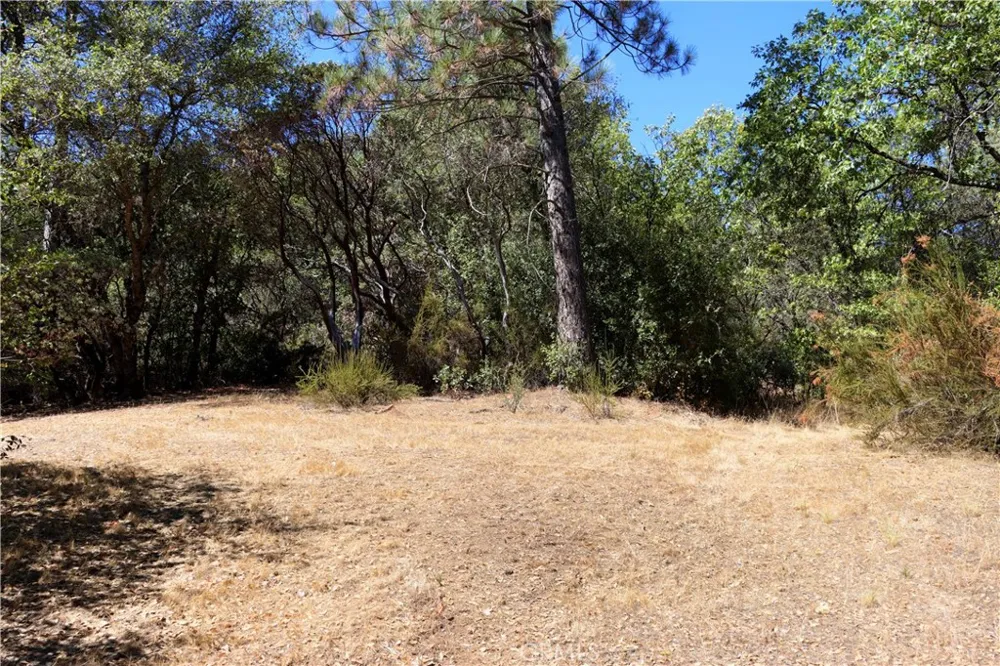 163 Oak Road Midpines, CA 95338