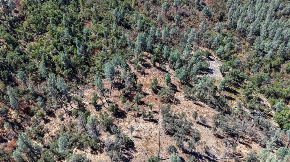 163 Oak Road Midpines, CA 95338