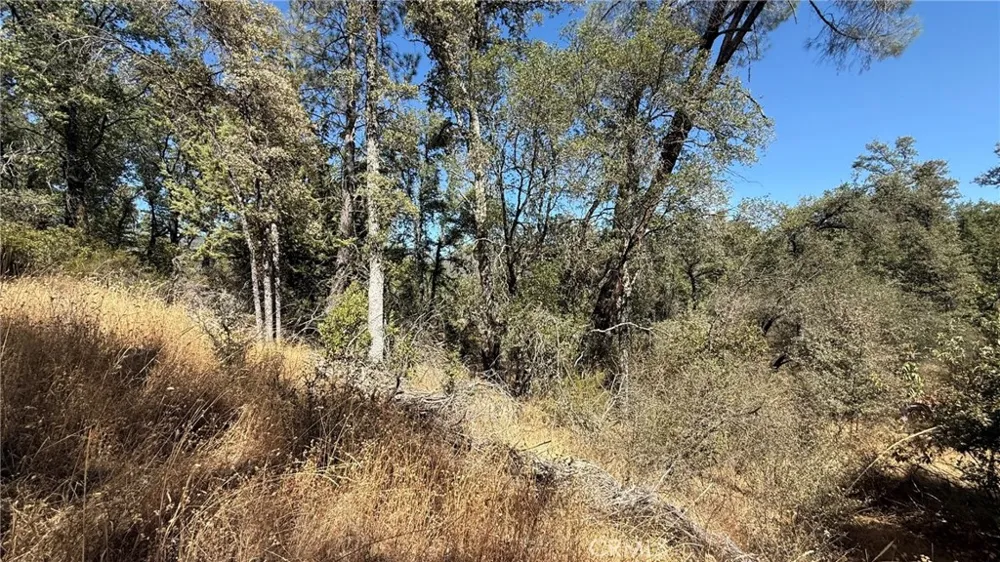 163 Oak Road Midpines, CA 95338
