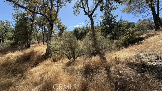 163 Oak Road Midpines, CA 95338