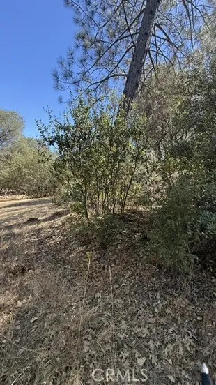 163 Oak Road Midpines, CA 95338