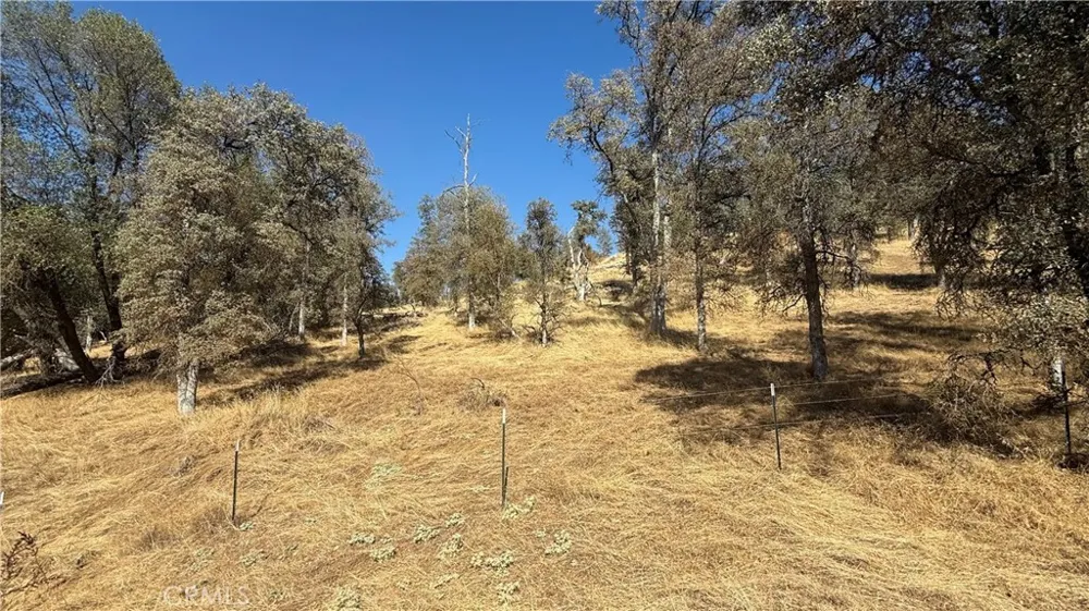 4612 Bridgeport Drive Mariposa, CA 95338