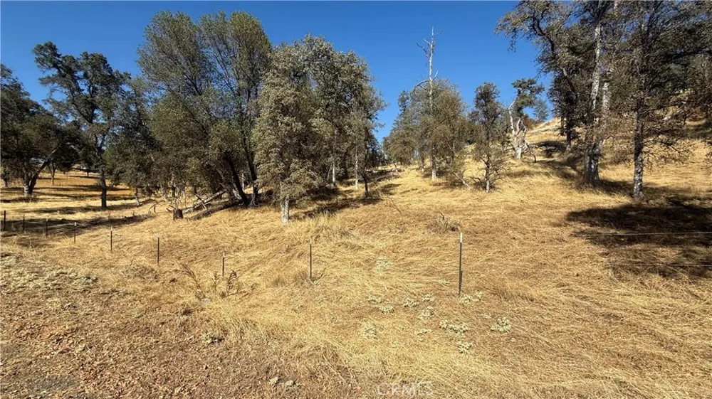 4612 Bridgeport Drive Mariposa, CA 95338