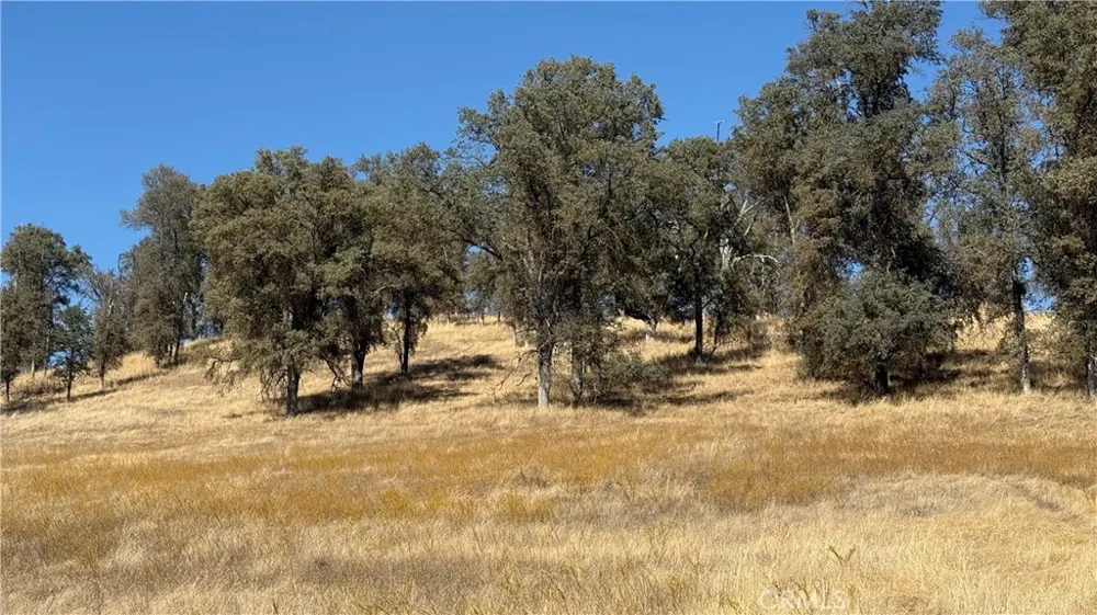 4612 Bridgeport Drive Mariposa, CA 95338