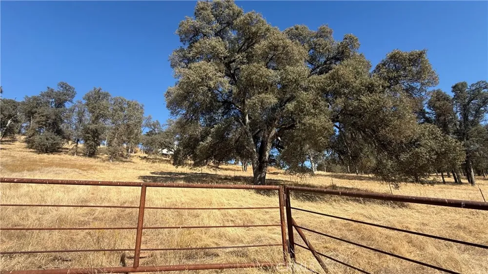 4612 Bridgeport Drive Mariposa, CA 95338
