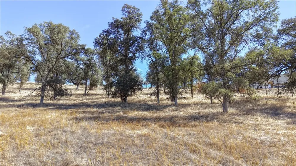 4612 Bridgeport Drive Mariposa, CA 95338