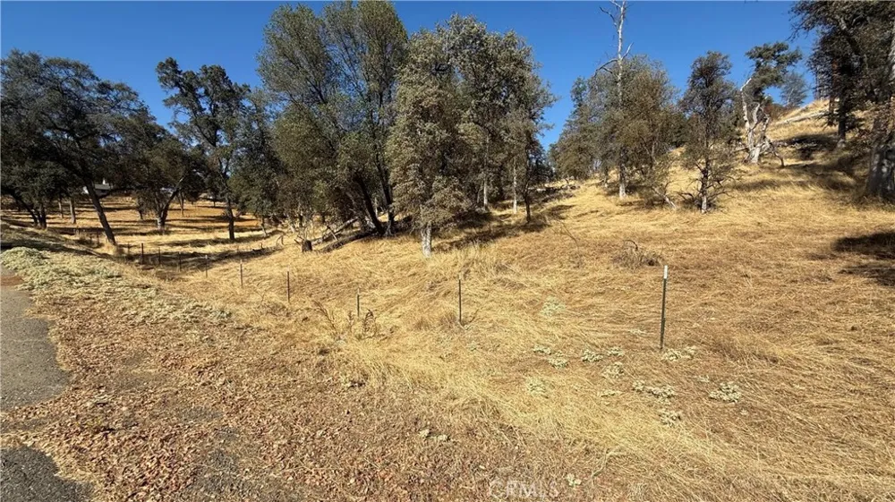 4612 Bridgeport Drive Mariposa, CA 95338