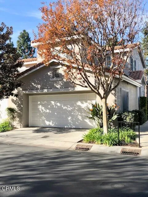 4577 Calle Argolla