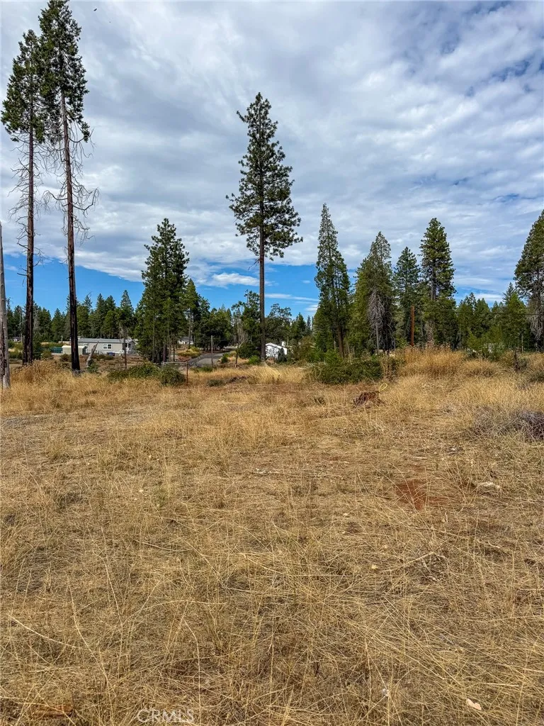 13660 Fritz Court Magalia, CA 95954