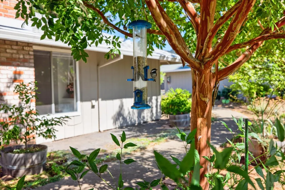 24 Aspen Meadows Circle Santa Rosa, CA 95409