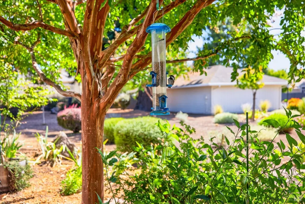 24 Aspen Meadows Circle Santa Rosa, CA 95409