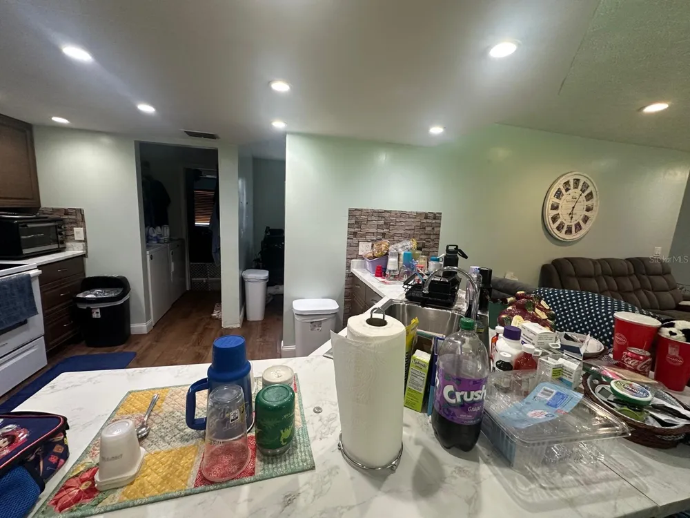 17042 NATURE TRAIL Lutz, FL 33558
