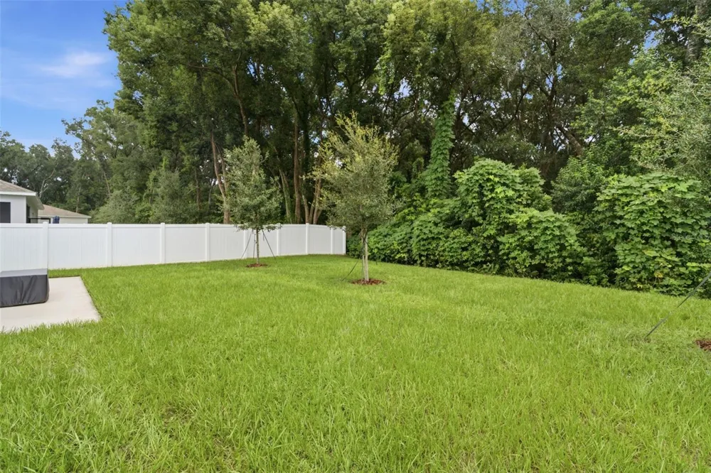 1656 ANDOVER RIDGE DRIVE Deland, FL 32720