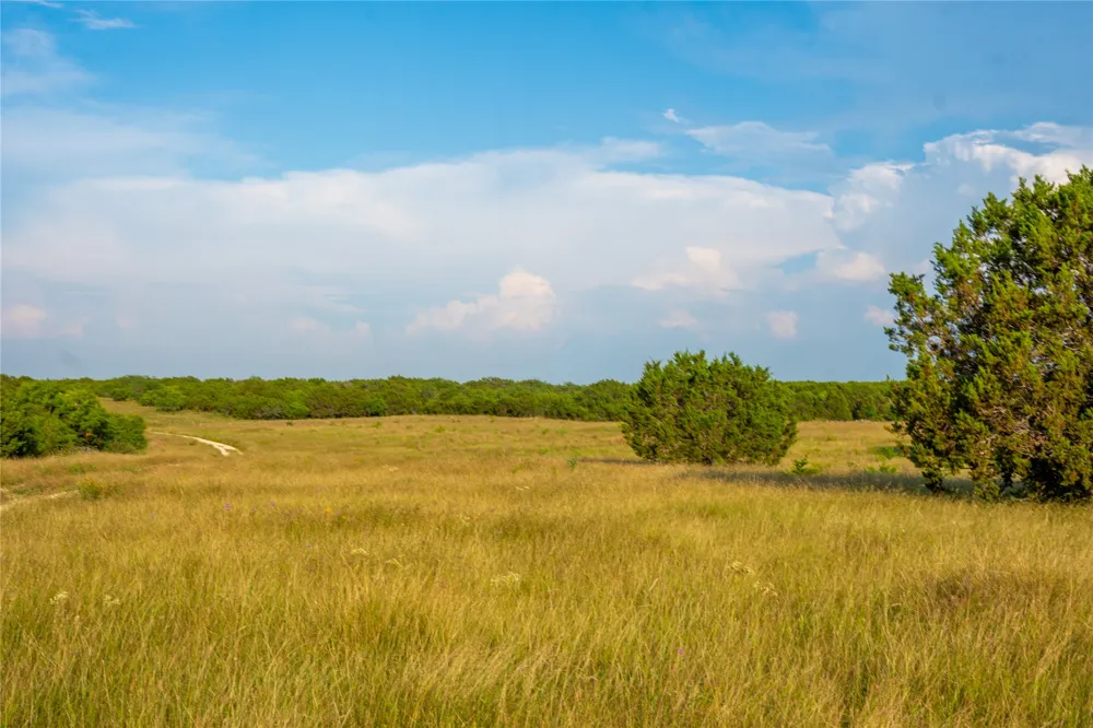 CR207 Burnet, TX 78611