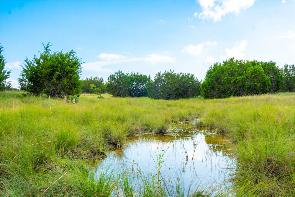 CR207 Burnet, TX 78611