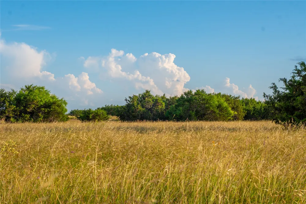 CR207 Burnet, TX 78611