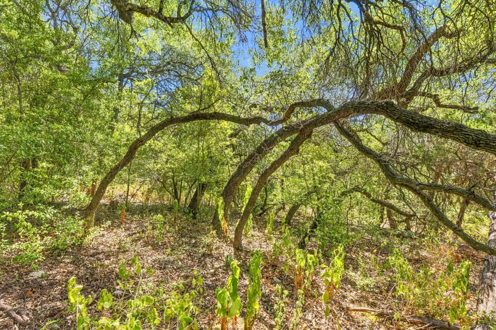 6401 Dry Cliff Cove Austin, TX 78731