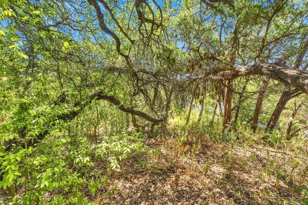 6401 Dry Cliff Cove Austin, TX 78731