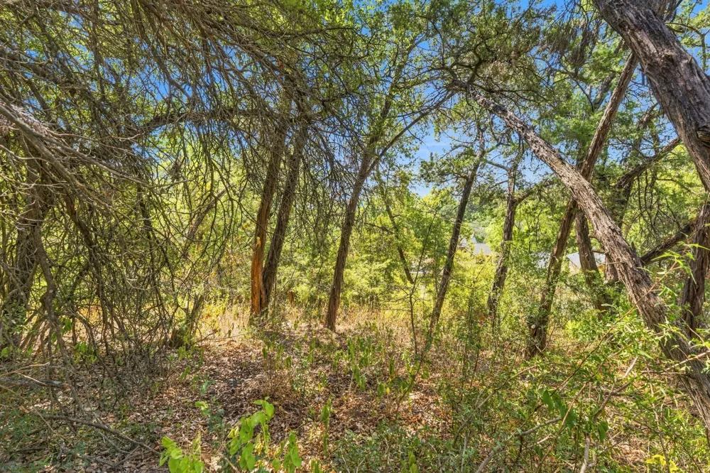 6401 Dry Cliff Cove Austin, TX 78731