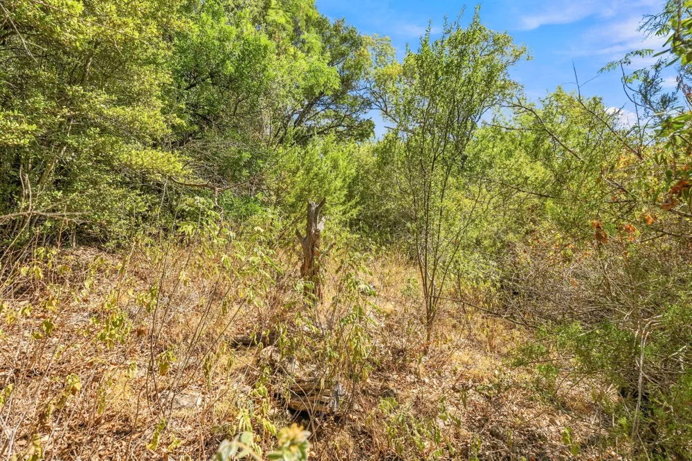 6401 Dry Cliff Cove Austin, TX 78731