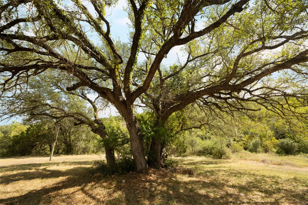 10703 Ranch Road 12 Wimberley, TX 78676