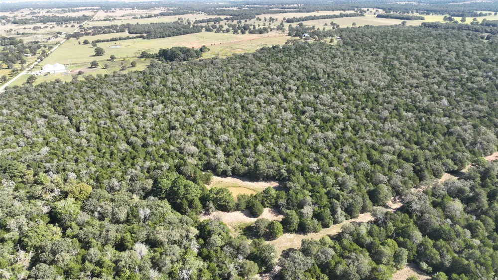 Easley Road Smithville, TX 78957