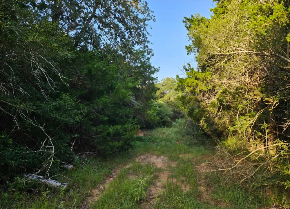 Easley Road Smithville, TX 78957