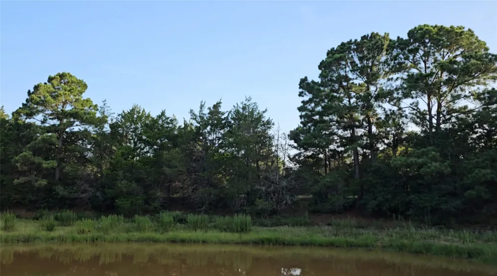 Easley Road Smithville, TX 78957