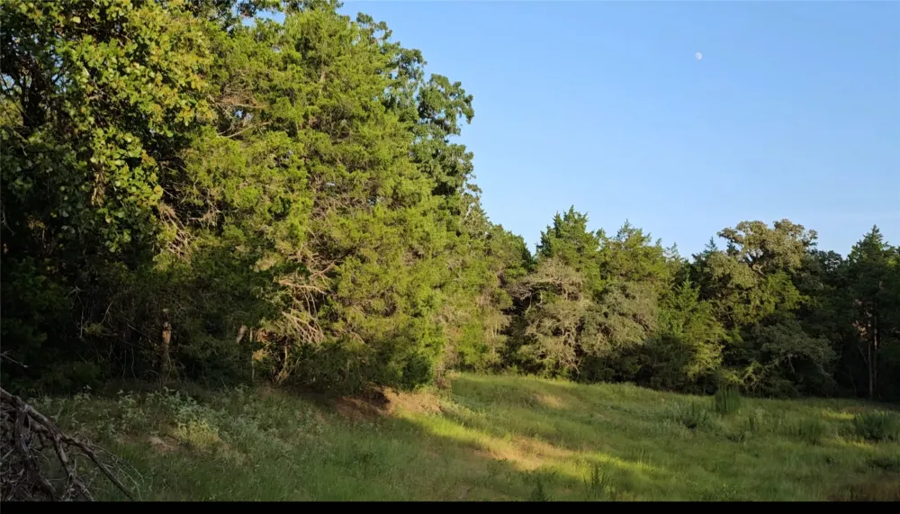 Easley Road Smithville, TX 78957