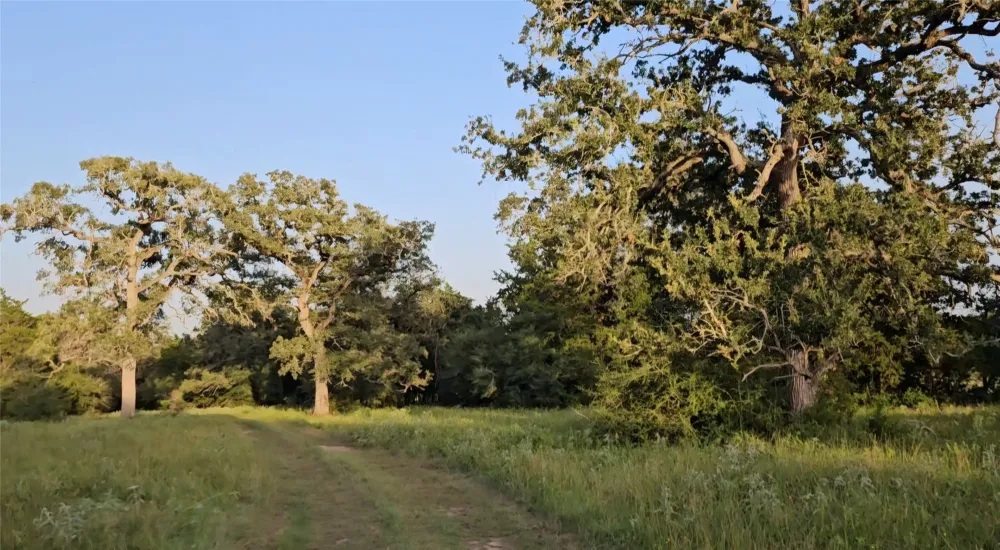 Easley Road Smithville, TX 78957
