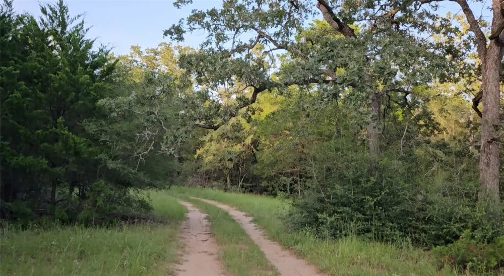 Easley Road Smithville, TX 78957