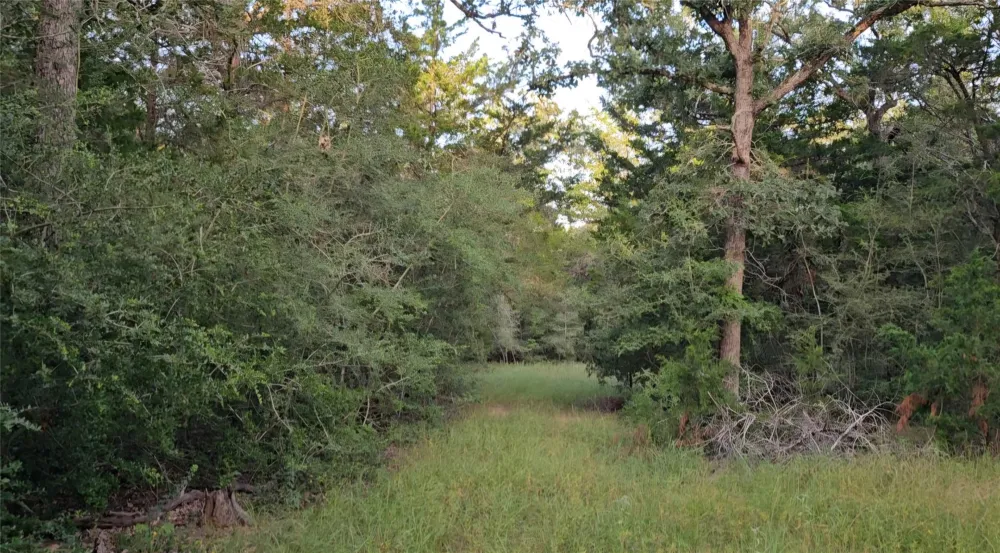 Easley Road Smithville, TX 78957