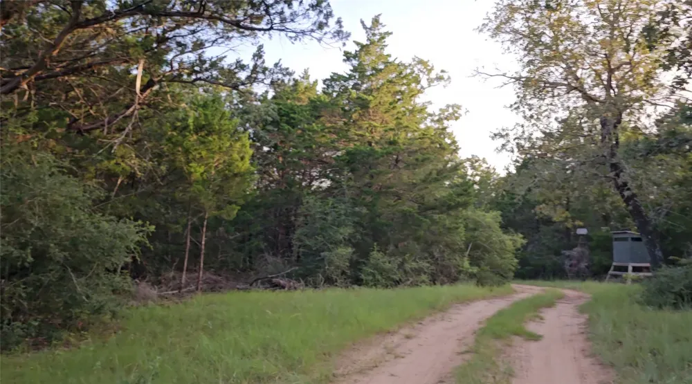 Easley Road Smithville, TX 78957