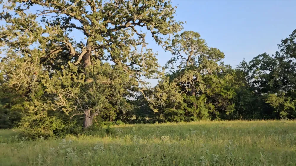 Easley Road Smithville, TX 78957
