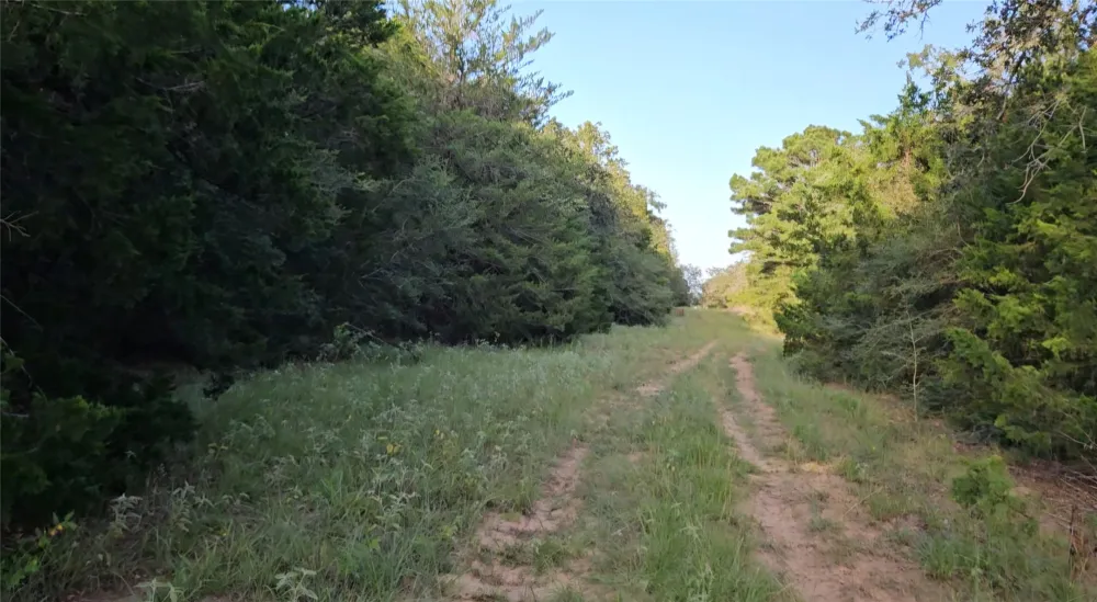 Easley Road Smithville, TX 78957