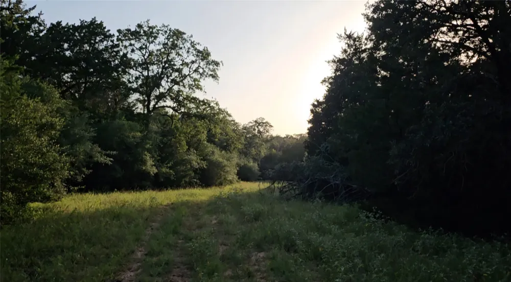 Easley Road Smithville, TX 78957