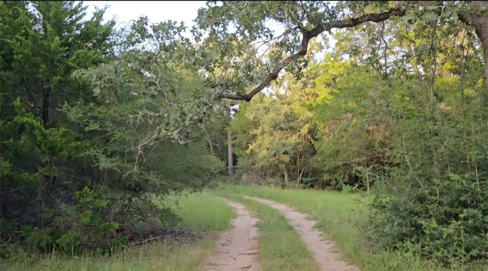 Easley Road Smithville, TX 78957