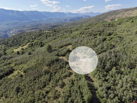 1085 Purple Sage Road