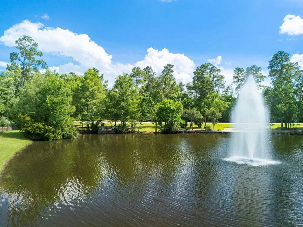 3 Pendleton Park Point The Woodlands, TX 77382