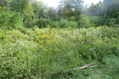 0 Watauga Road