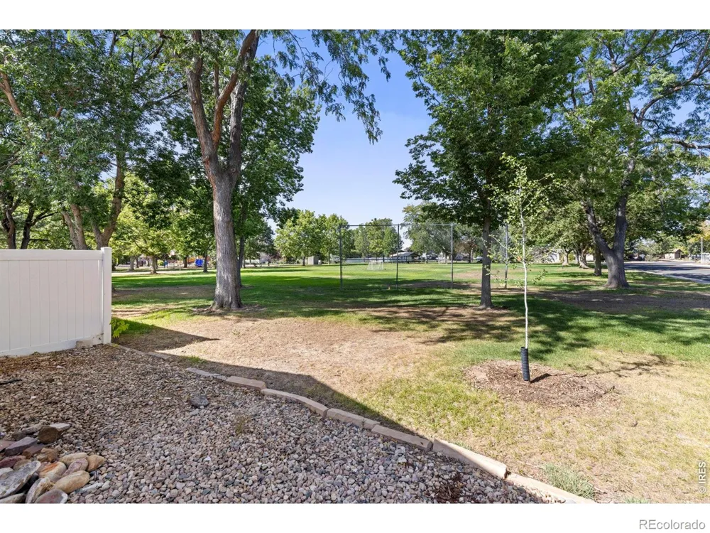 550 10th Street Windsor, CO 80550