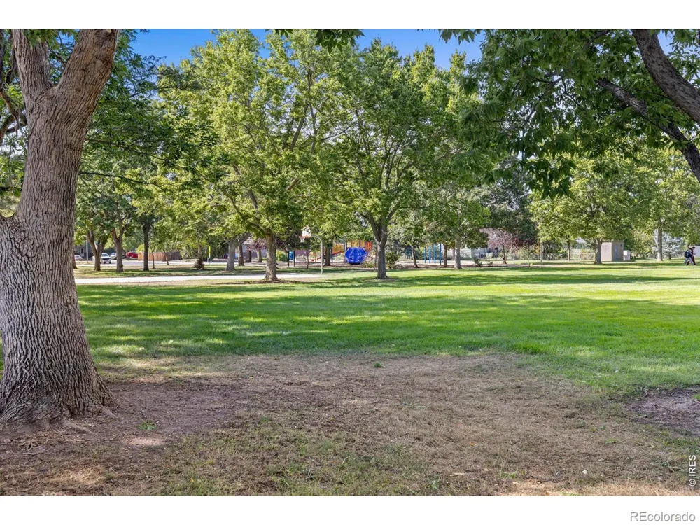 550 10th Street Windsor, CO 80550