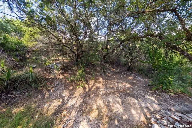 9915 Scenic Hills Dr San Antonio, TX 78255
