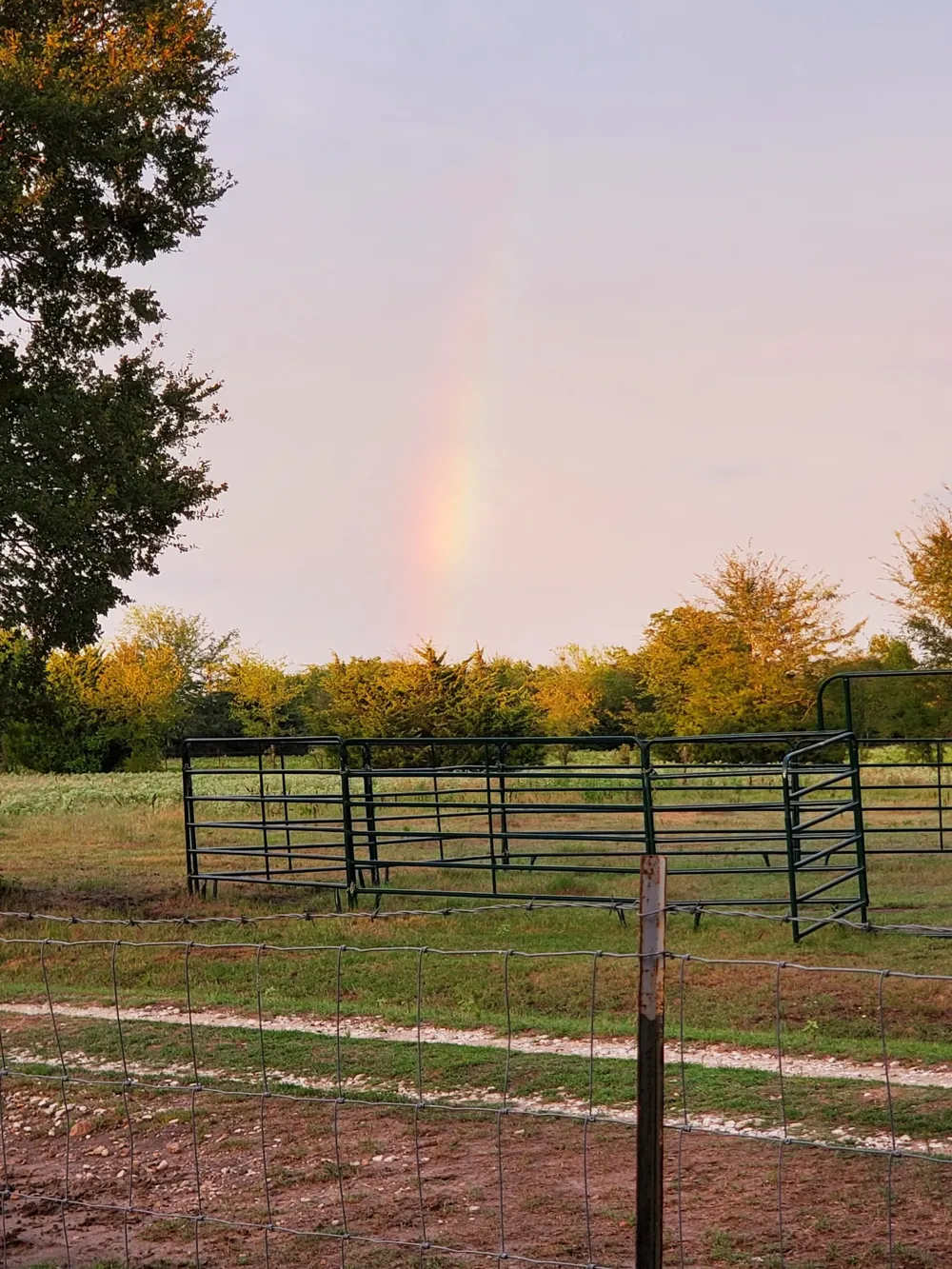 7263 State Highway 276 Point, TX 75472