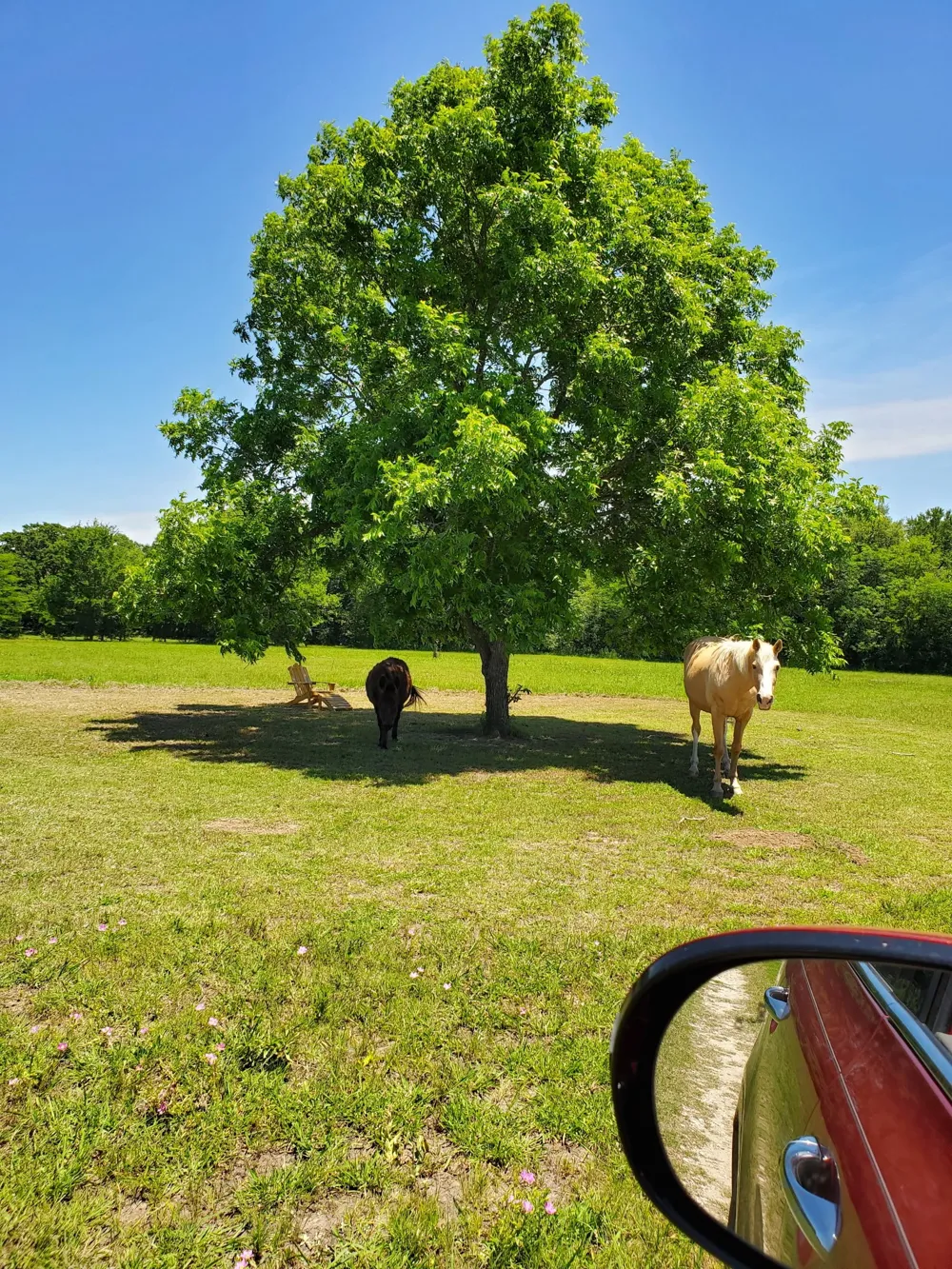 7263 State Highway 276 Point, TX 75472