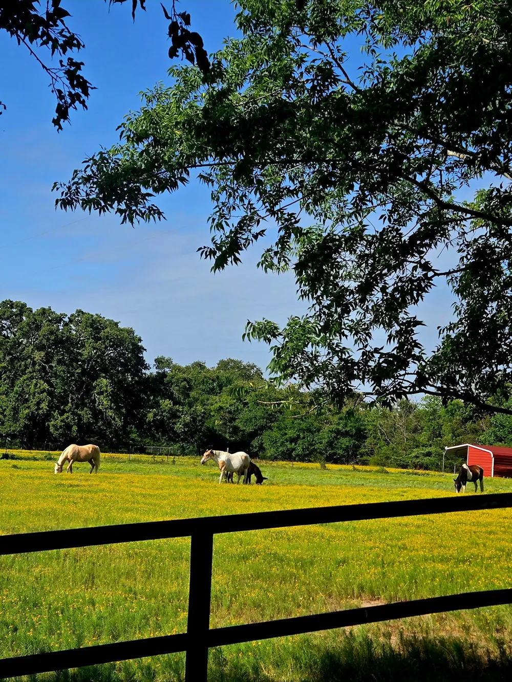 7263 State Highway 276 Point, TX 75472