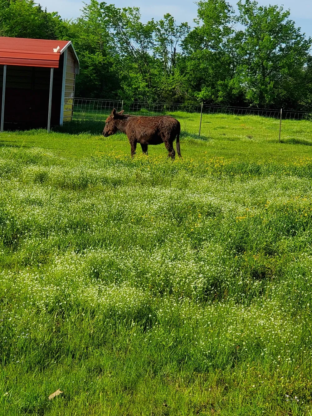 7263 State Highway 276 Point, TX 75472