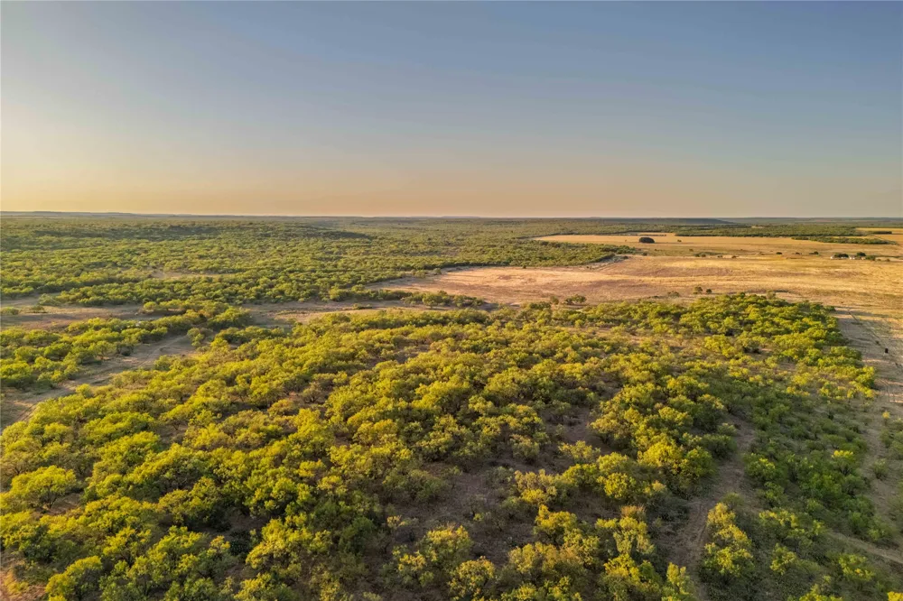 County Road 277 Baird, TX 79504