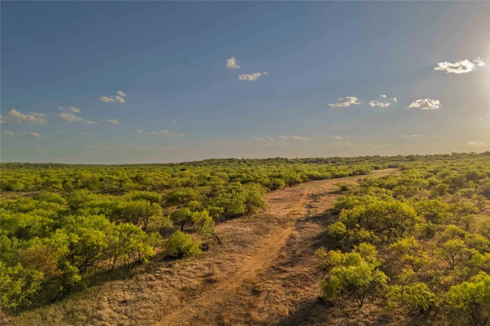 County Road 277 Baird, TX 79504