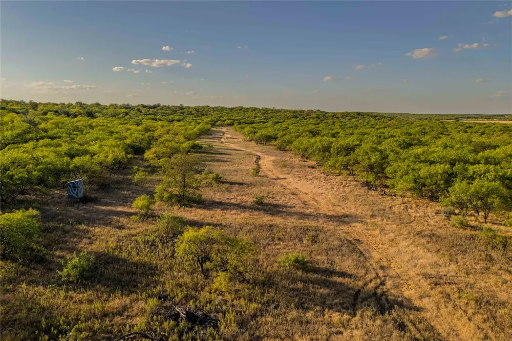 County Road 277 Baird, TX 79504